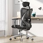 SIHOO Doro C300 Ergonomic Office Chair with Ultra Soft 3D Armrests, Dynamic Lumbar Support for Home Office Chair, Adjustable Backrest Desk Chair, Swivel Big and Tall Computer Chair (Grey)