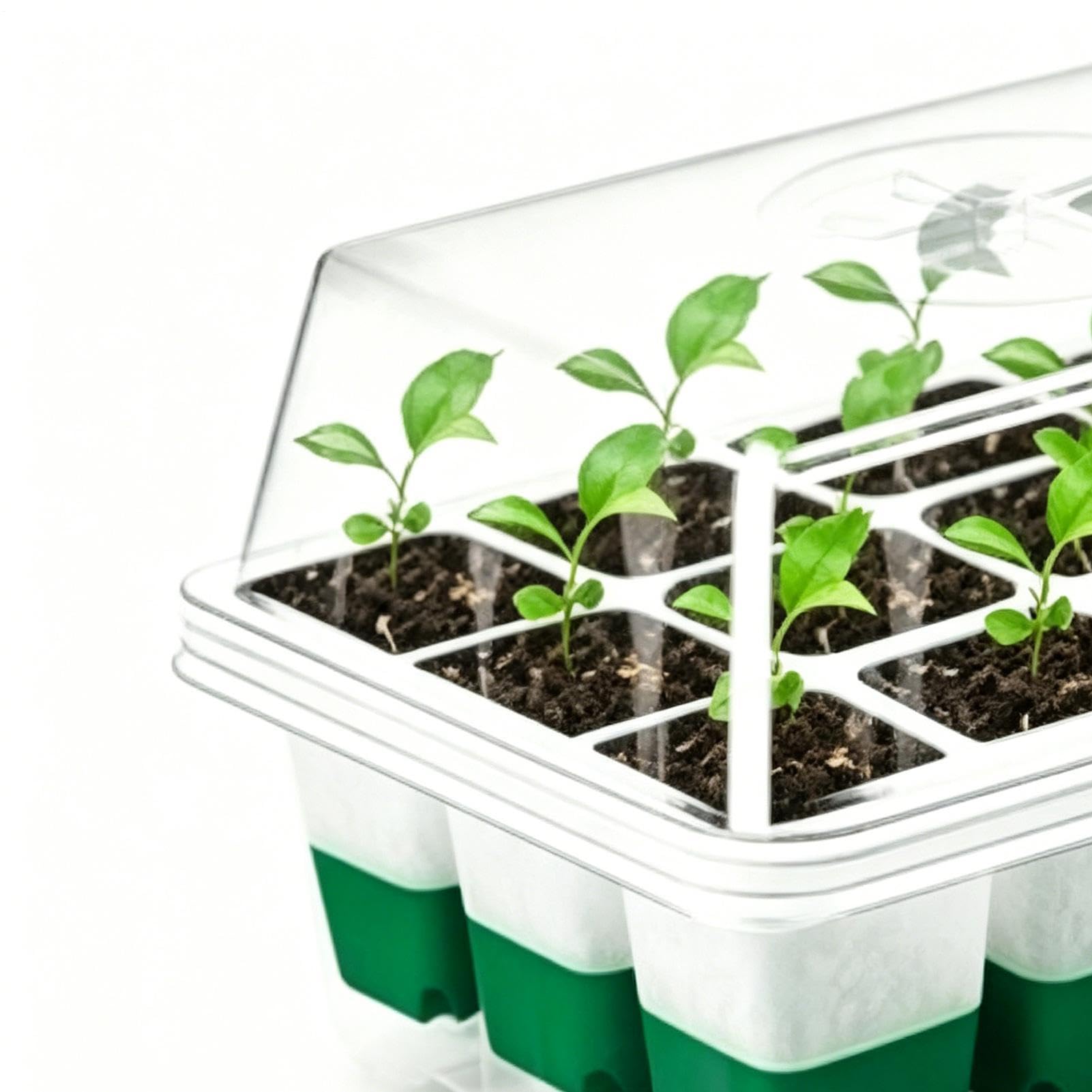 Bandeja de Semillero 12 celdas, domos ventilados con humedad ajustable | Bandejas de jardinería, planta, y crecimiento para jardín, patio, granja, balcón, césped, hogar