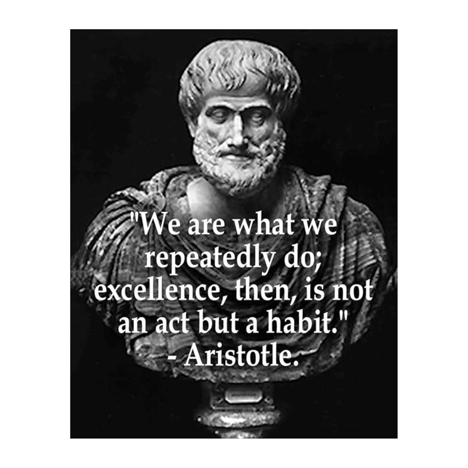 Excellence is a Habit Motivational Wall Decor, Aristotle