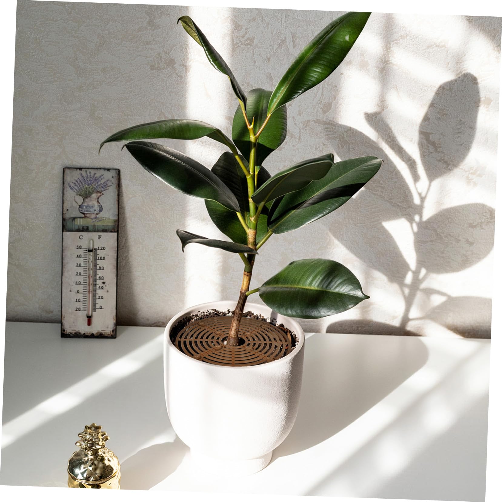 Café 2 Pièces Protection pour Pot de Fleurs en Plastique Facile à Installer