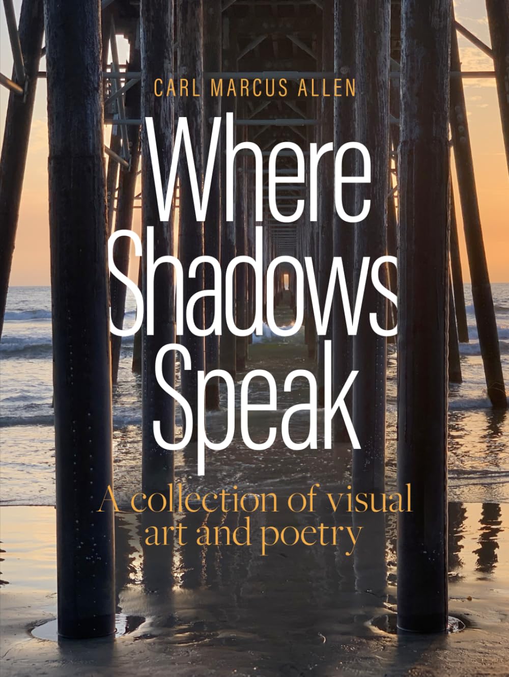 Where Shadows Speak: A collection of visual art and poetry