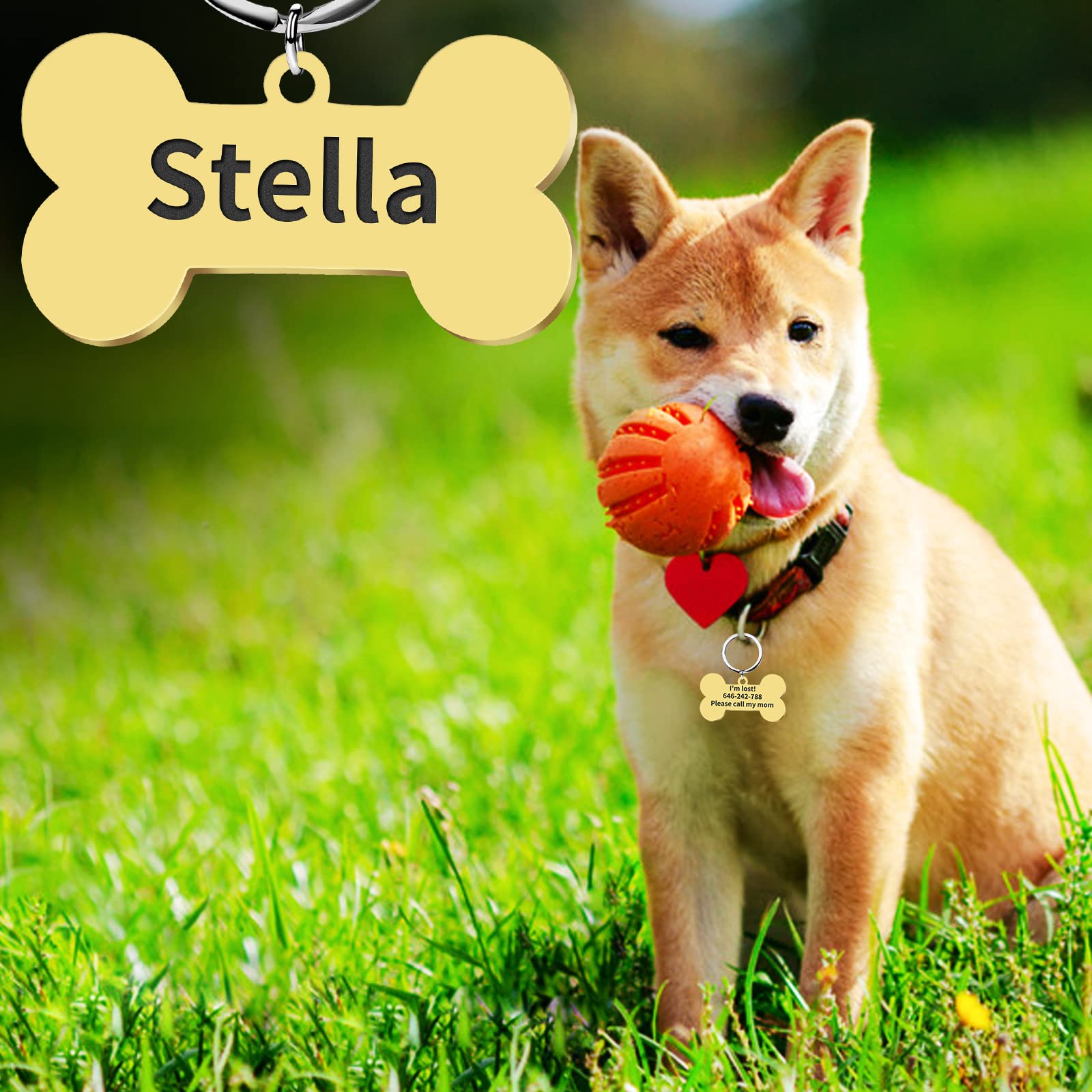 Personalized Dog Cat ID Tag Engraving deep Dog tag Anti-Lost Pet Name Pendant Bone Shape Suitable for Small, Medium and Large Dogs Pet Accessories (Gold, Small)