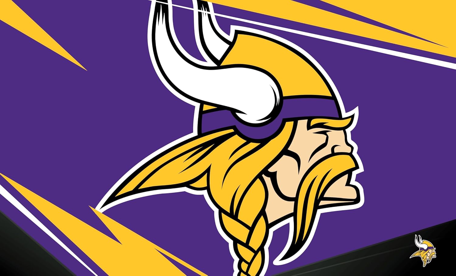 Northwest The Company NFL Minnesota Vikings Washable Rug, 36" x 60", Shredder, Team Colors