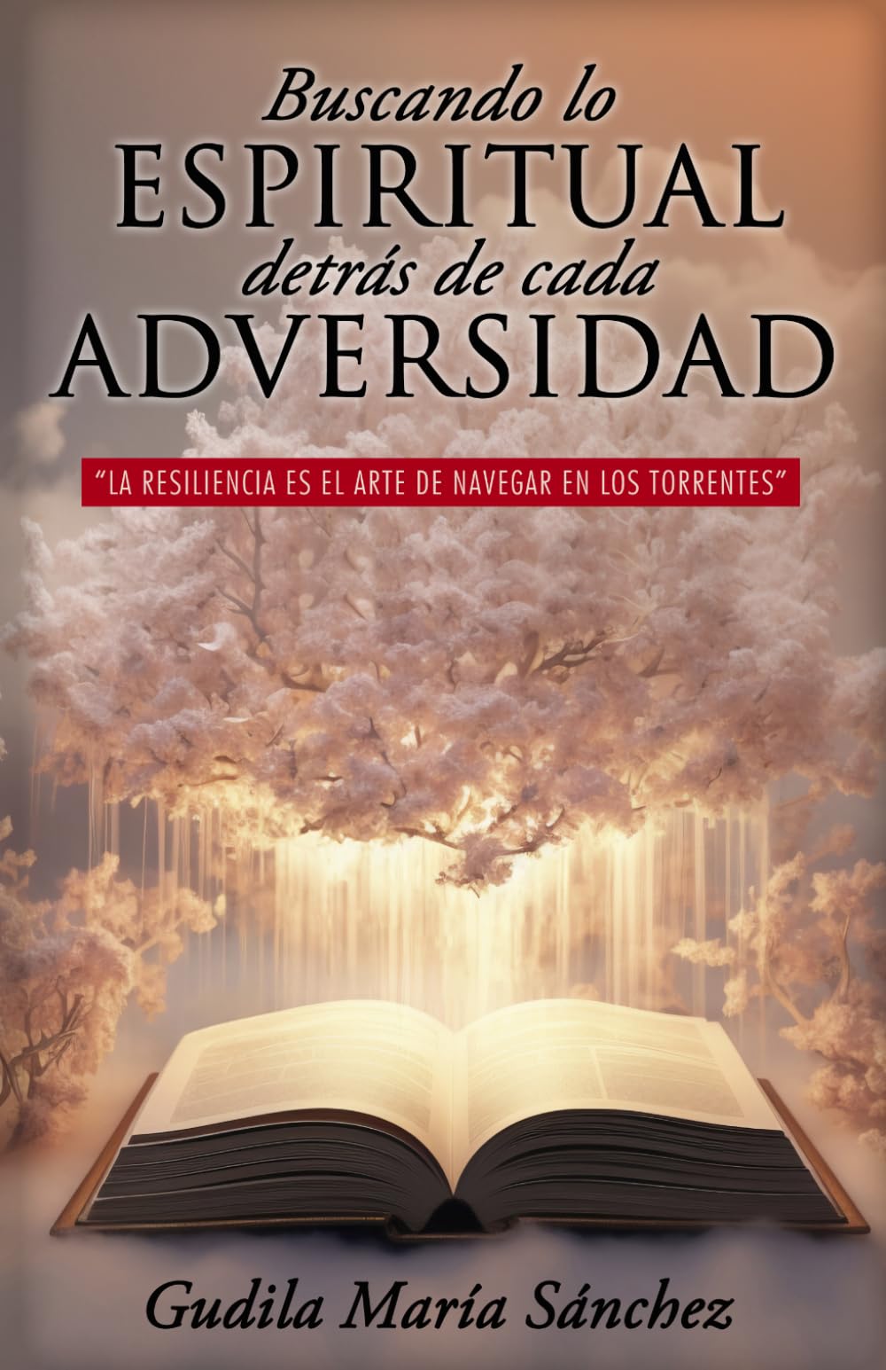 Buscando lo espiritual detrás de cada adversidad