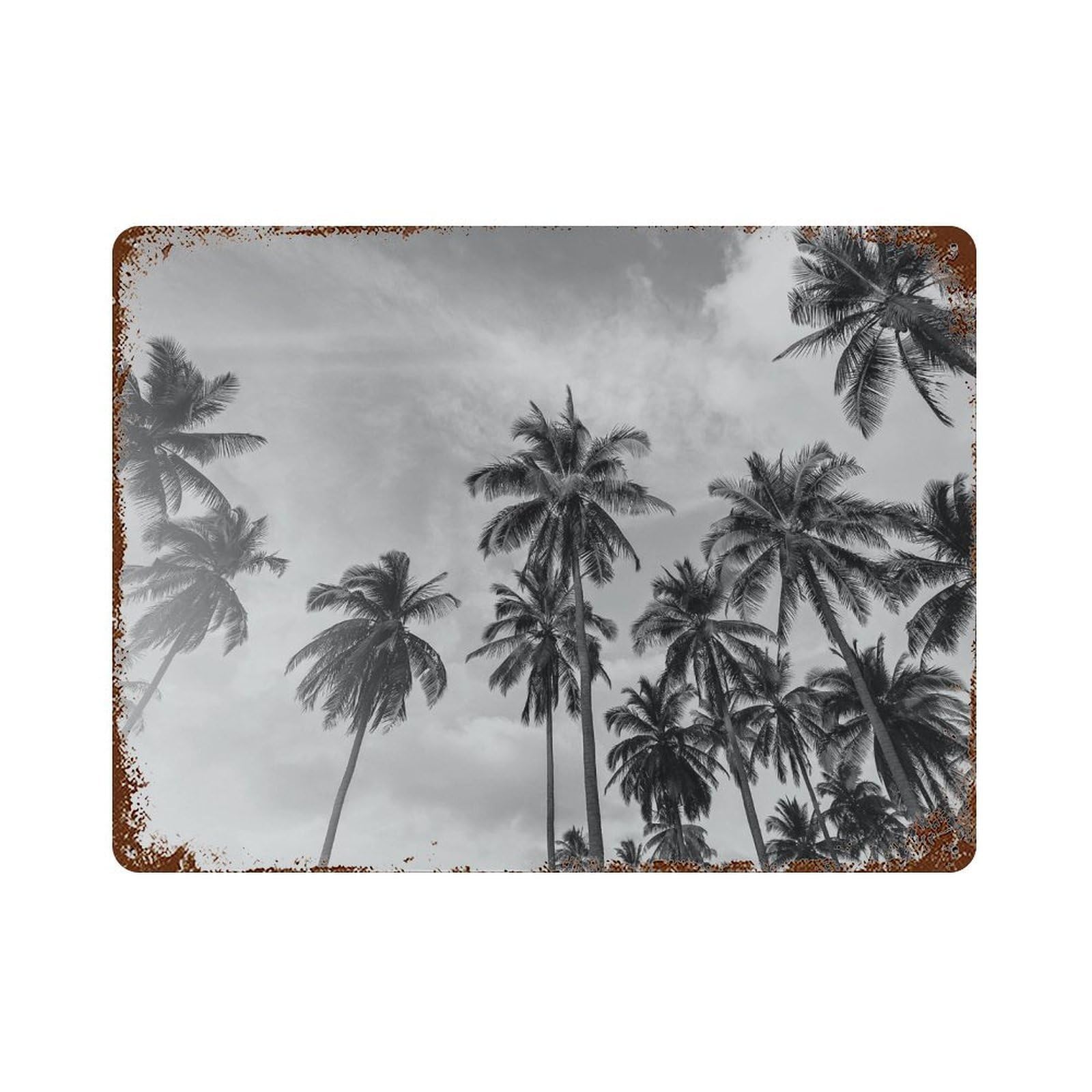 xiaoxiaoshen Black And White California Photo Decor Wall Decor Art Metal Tin Poster Modern Home Decor Art Home Bar Shop Decorations Vintage Sign 30x40cm