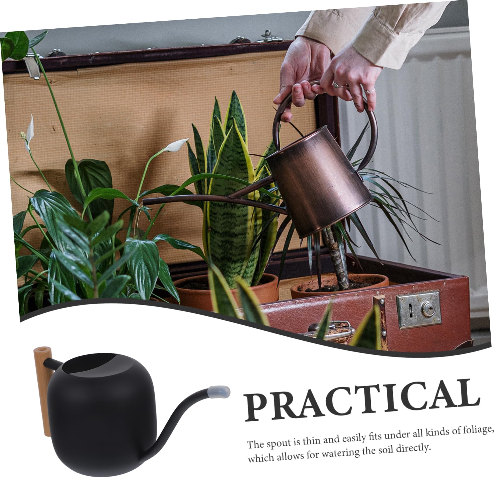 Regadera de Largo 1, 2 L de Acero Inoxidable Mango de Madera | Negro, Asa Ergonómica y Vertido sin Derrames, para Plantas y Suculentas en Casa o Jardín
