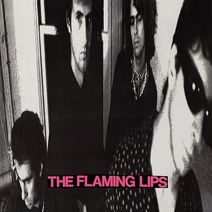 In A Priest Driven Ambulance [Disco de Vinil] por The Flaming Lips — capa do álbum