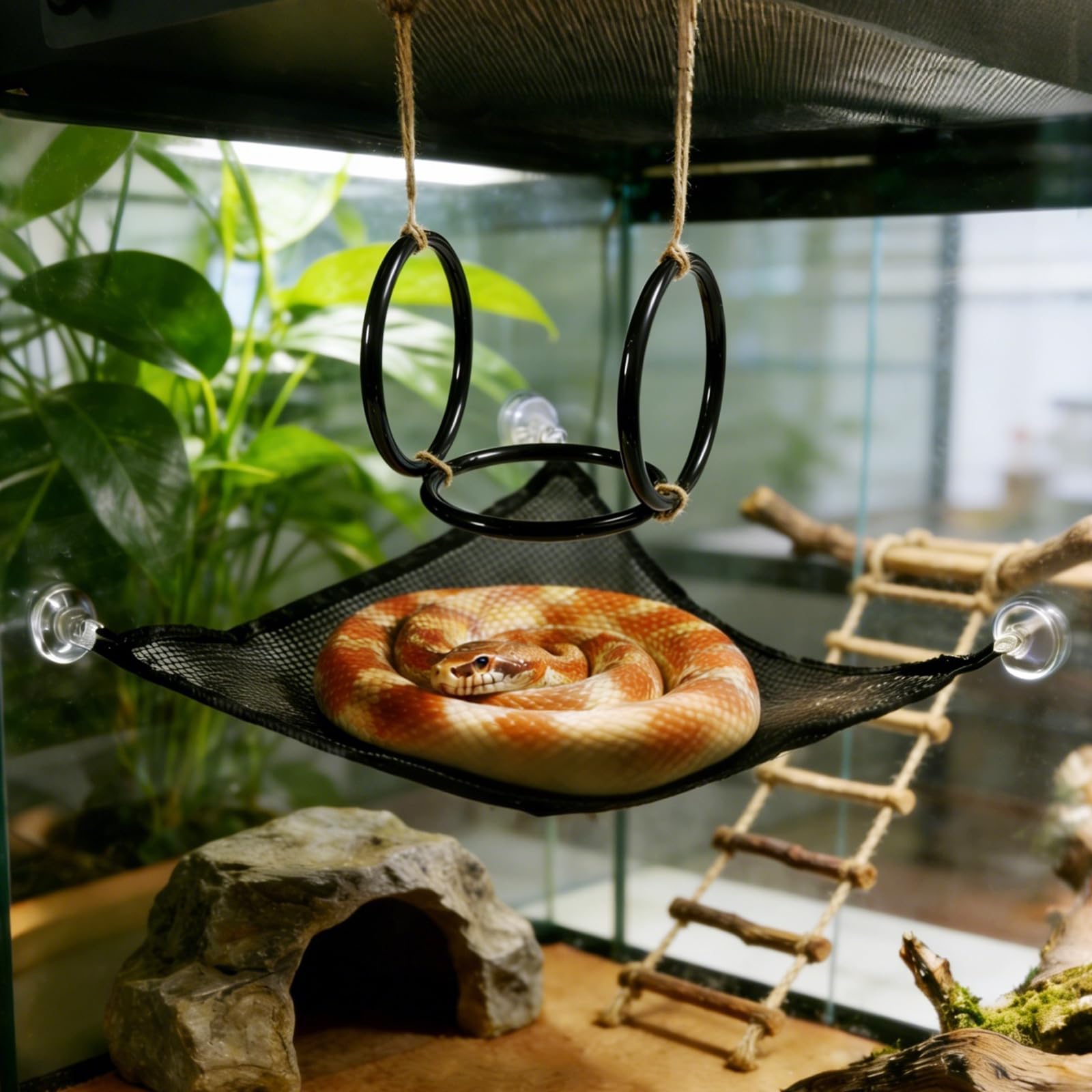 Boxili Snake Enrichment Toys, 1 Plastic Climbing Rings and 1 Hammock, Ball Python Climbing Ladder, Toy Hammocks Accessories for Reptile Tank (Set)