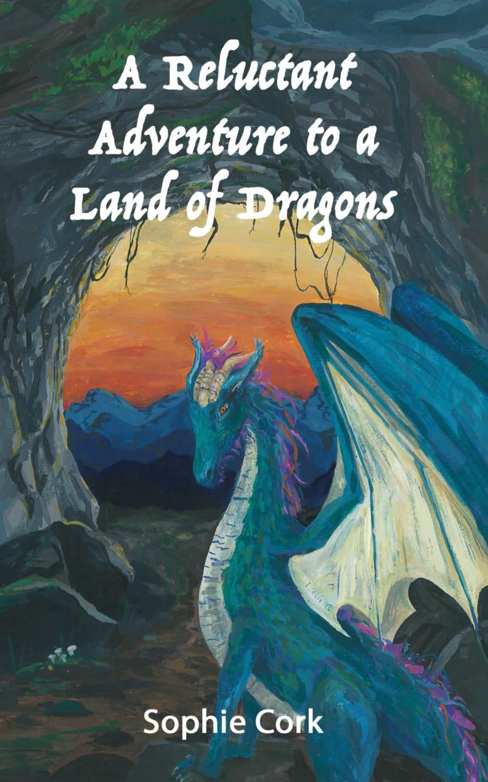 A Reluctant Adventure to a Land of Dragons: 1 (The Tales of Termundra)