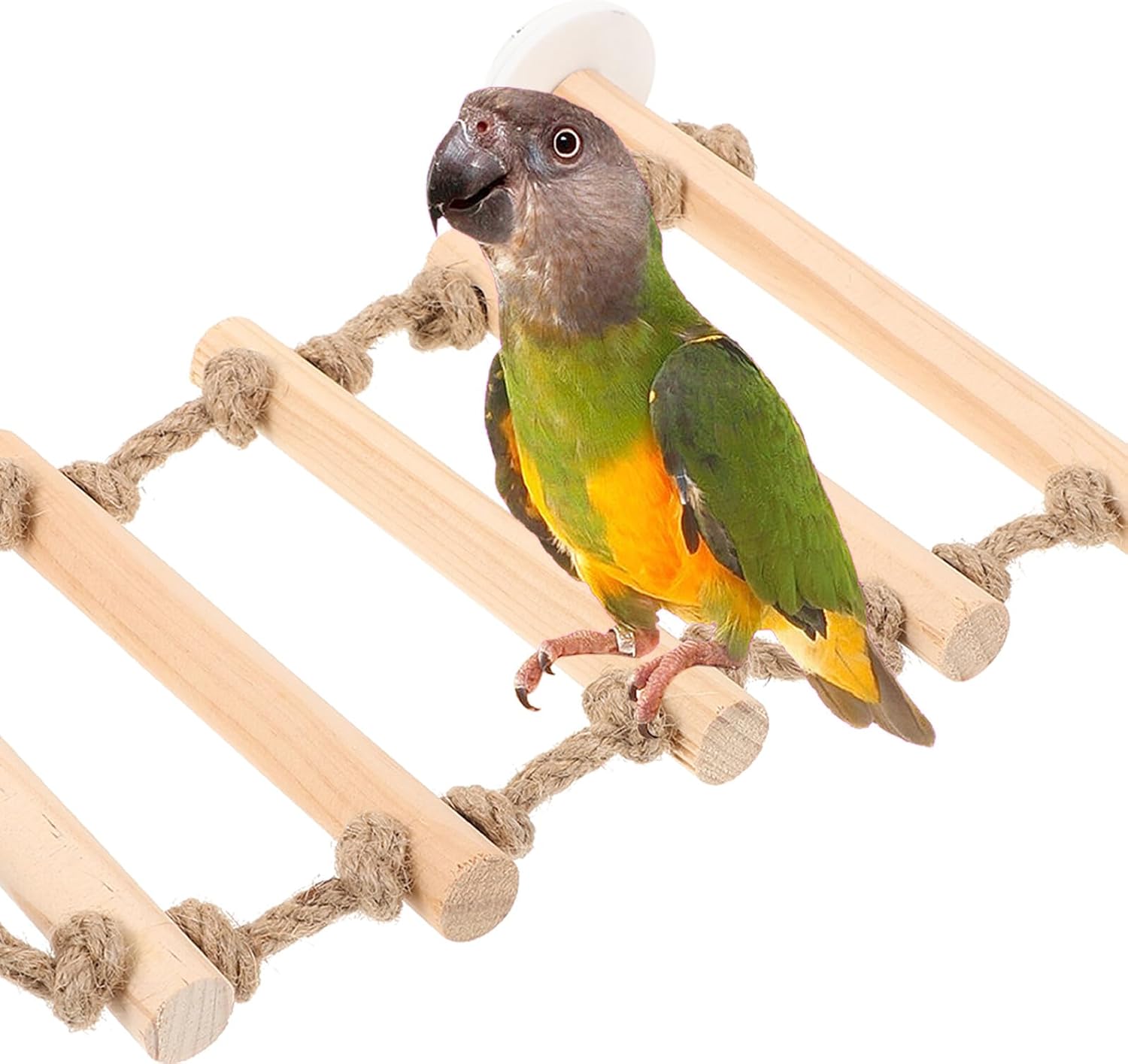 Luxshiny Wooden Bird Ladder Parakeet Climbing Step Ladder for Cage with Fixed Soft Bridge and Chewable Training Perch for Small Parrots and Parakeets