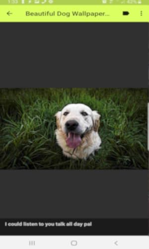 Apptyze Beautiful Cartoon Dog Wallpaper Canvas Art Gallery thumb #3