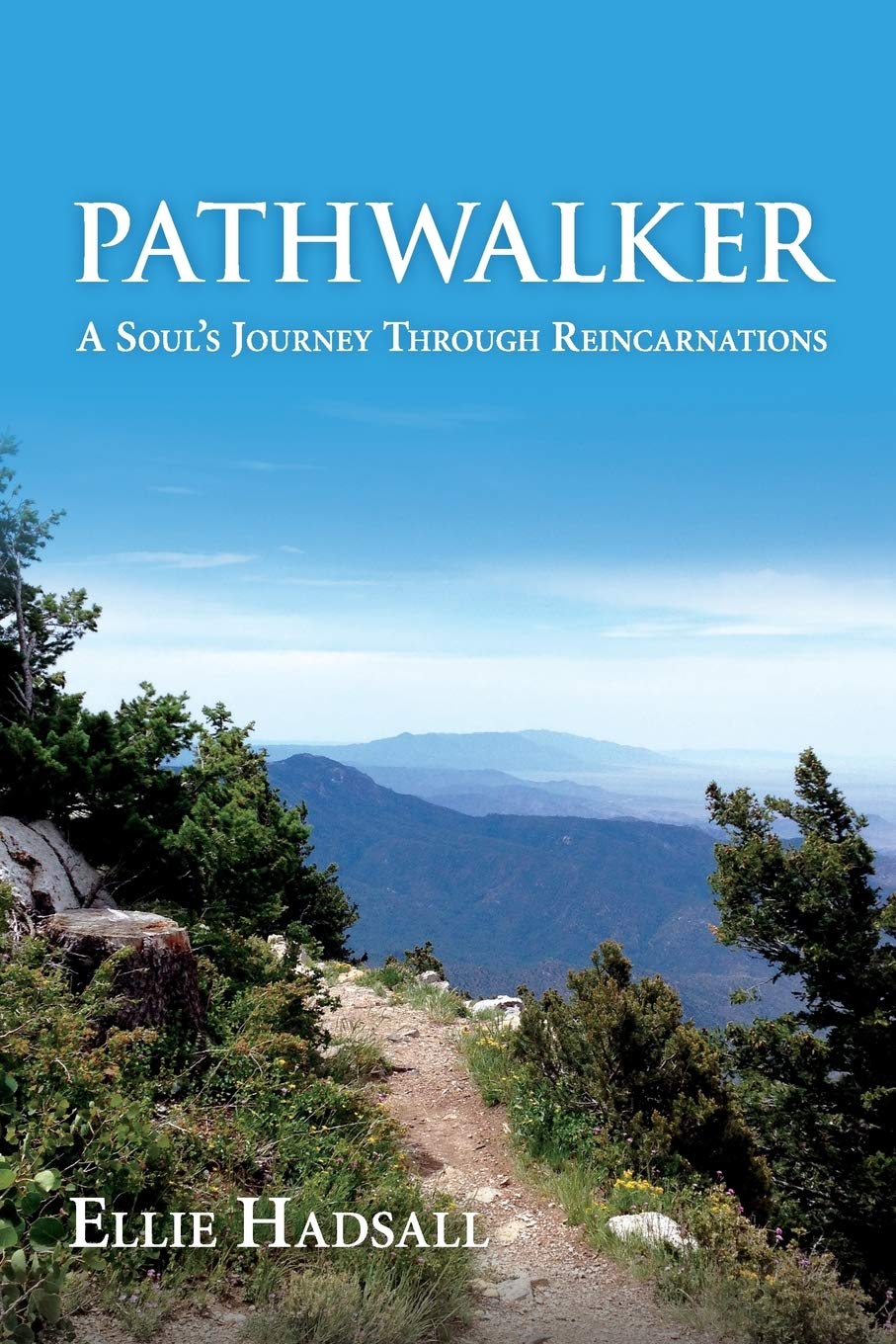 Pathwalker: A Soul's Journey Through Reincarnations (Cave Time Series)