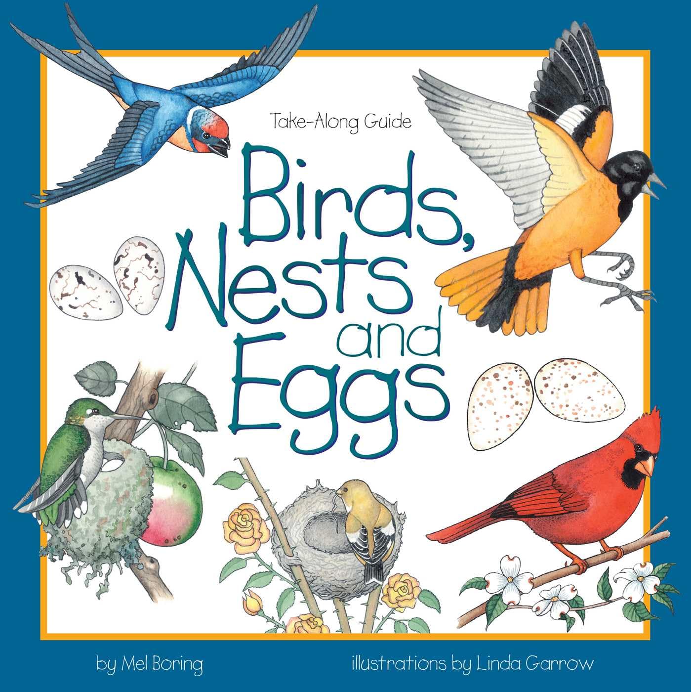 Birds, Nests & Eggs (Take Along Guides)
