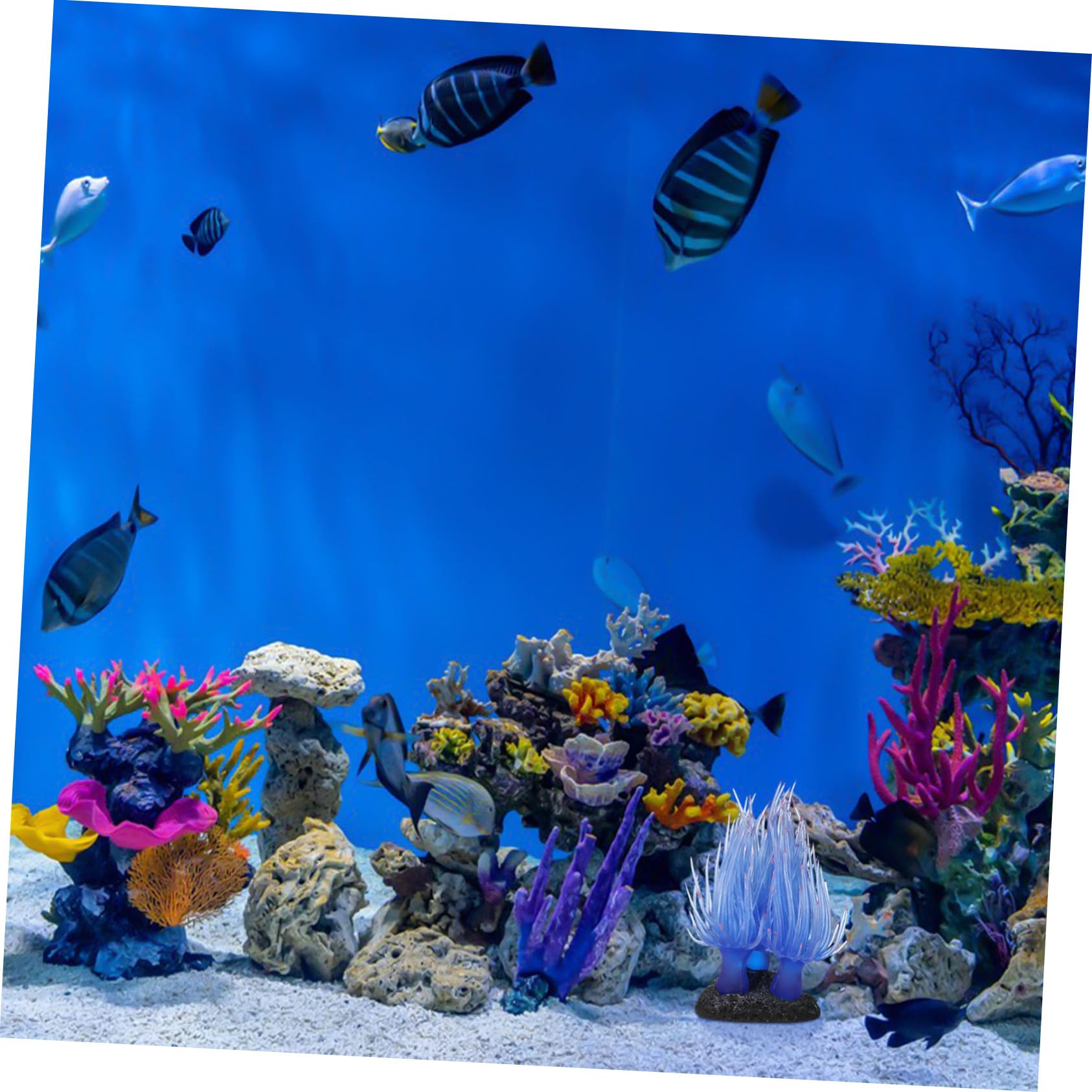 Amazon.co.jp: PATKAW ベタ 人工植物 サンゴ 水槽装飾 水槽