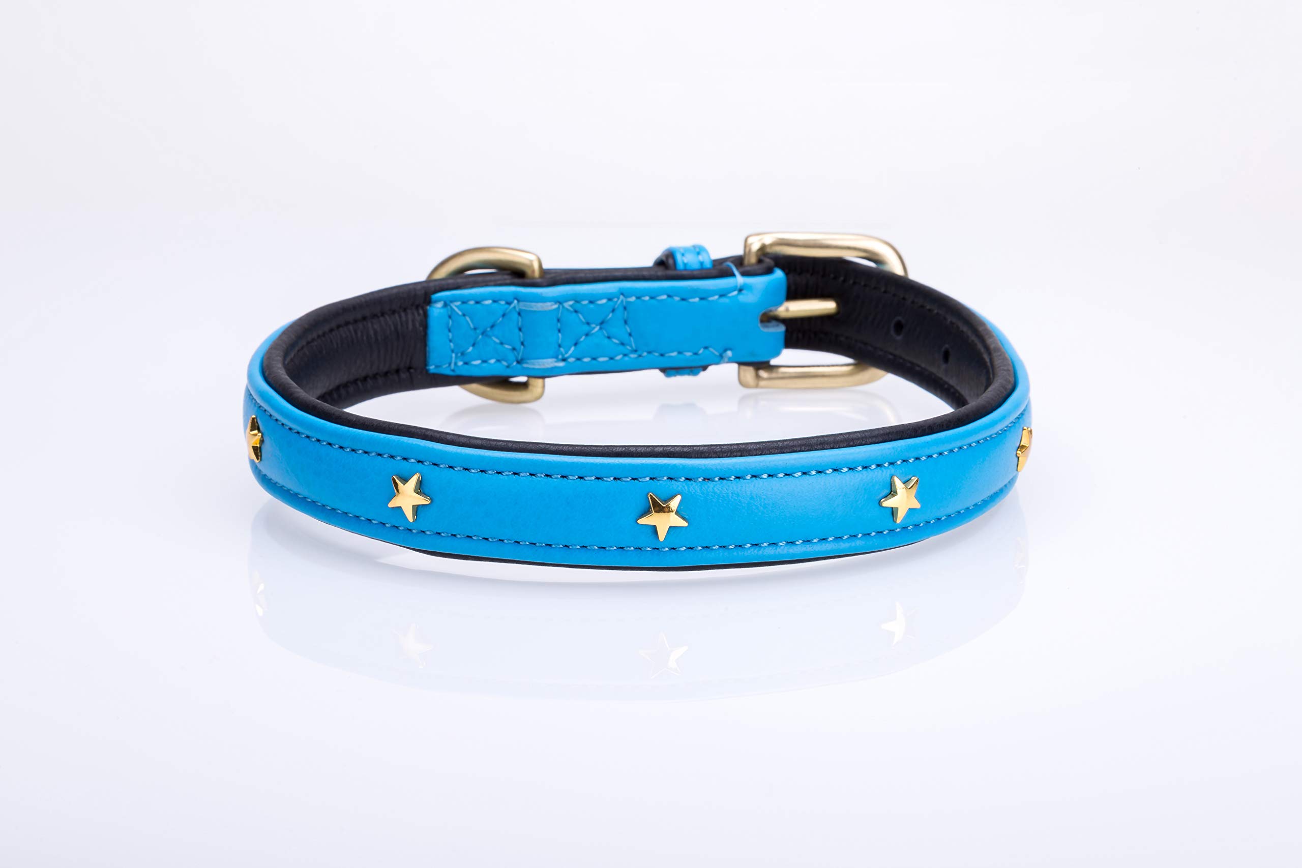 Collier chien cuir bleu rembourré idéal pour les balades quotidiennes et l'éducation