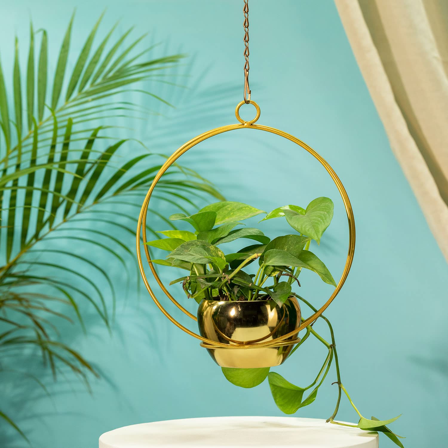 TrustBasket Lunar Eclipse Metal Hanging Planter (Set of 1)| Heavy Duty Metal Indoor and Outdoor Planter for Home Decor | Vertical Garden Hanging Decor | Hanging Planter (B0C3XPNX9Q) Amazon Price History, Amazon Price Tracker