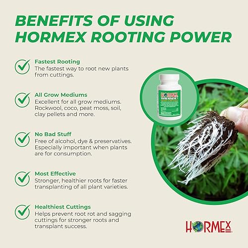 Miniatura 4 de Hormex Polvo de enraizamiento #8 - Hormona de enraizamiento para plantas moderadamente difíciles de enraizar - Forma rápida y fácil de clonar