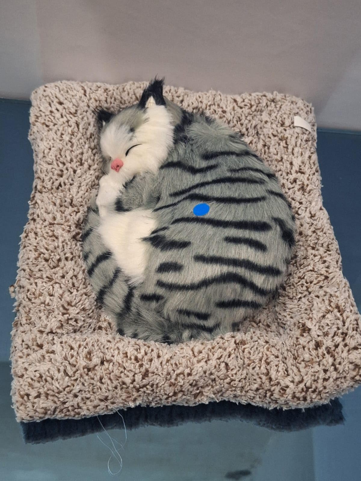 TREK TOYS WORLD Sleeping/Open Eye Cat Plush Toy with Press Simulation Sound, Sleeping/Open Eye Cat Stuffed Animal Fur Soft Toys with Sound for Kids Car Dashboard Cat & Office Desk (B0CV39KJ7D) Amazon Price History, Amazon Price Tracker