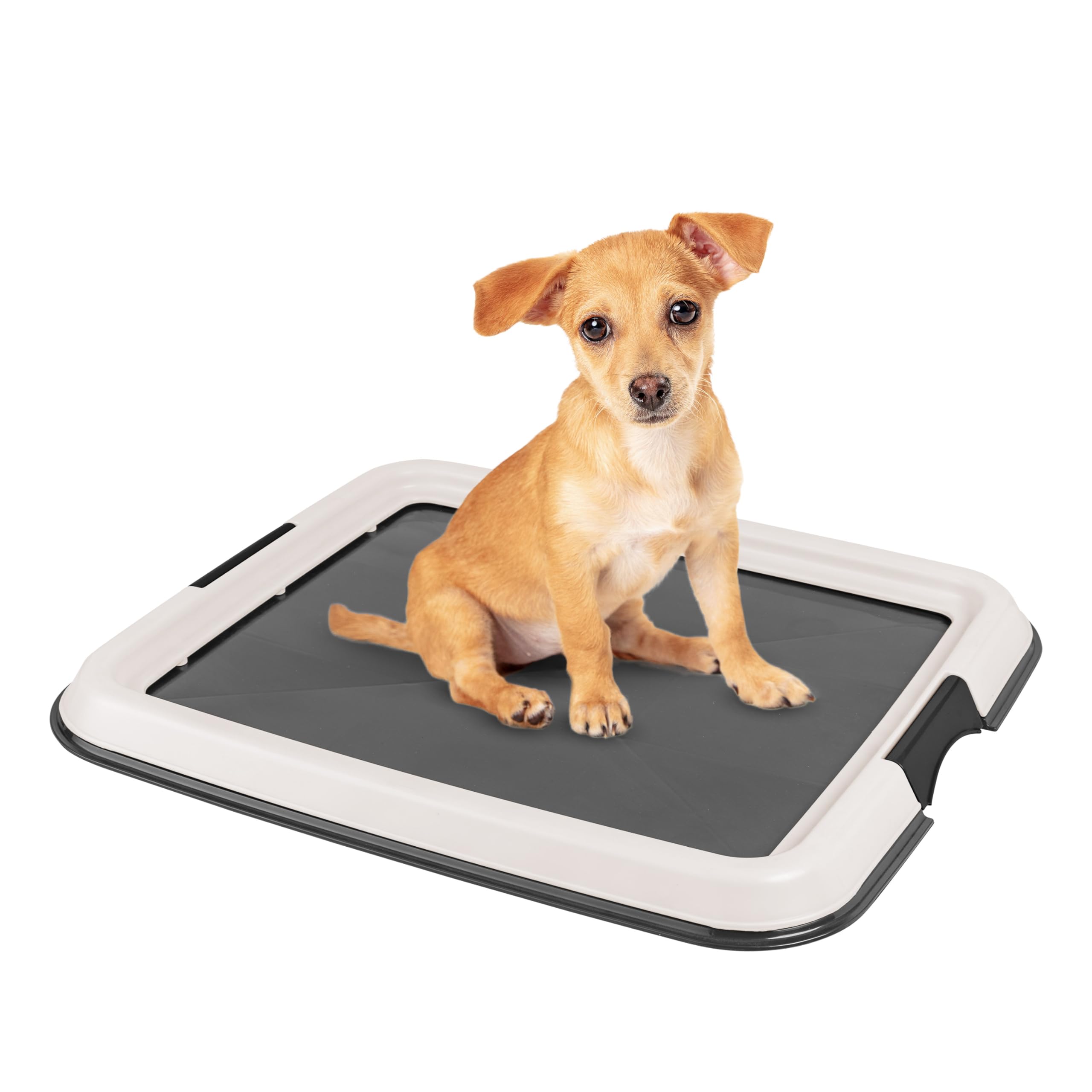 Top Paw Petsmart Pee Pad Holder Petsmart Pee Pad Holder Chew