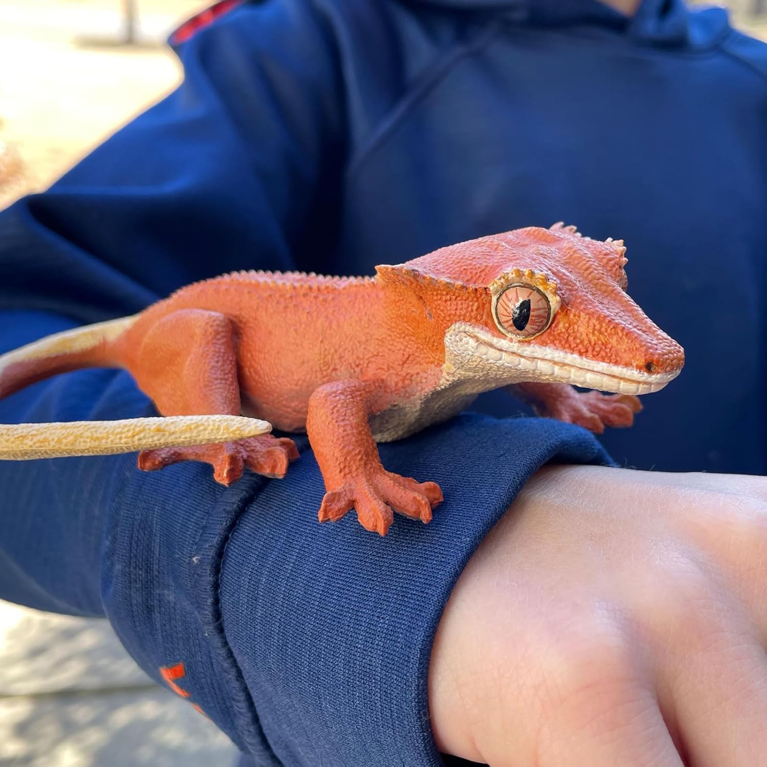 Safari Ltd. Crested Gecko - Realistic 5.5" Model Figure - Educational Toy for Boys, Girls & Kids Ages 3+