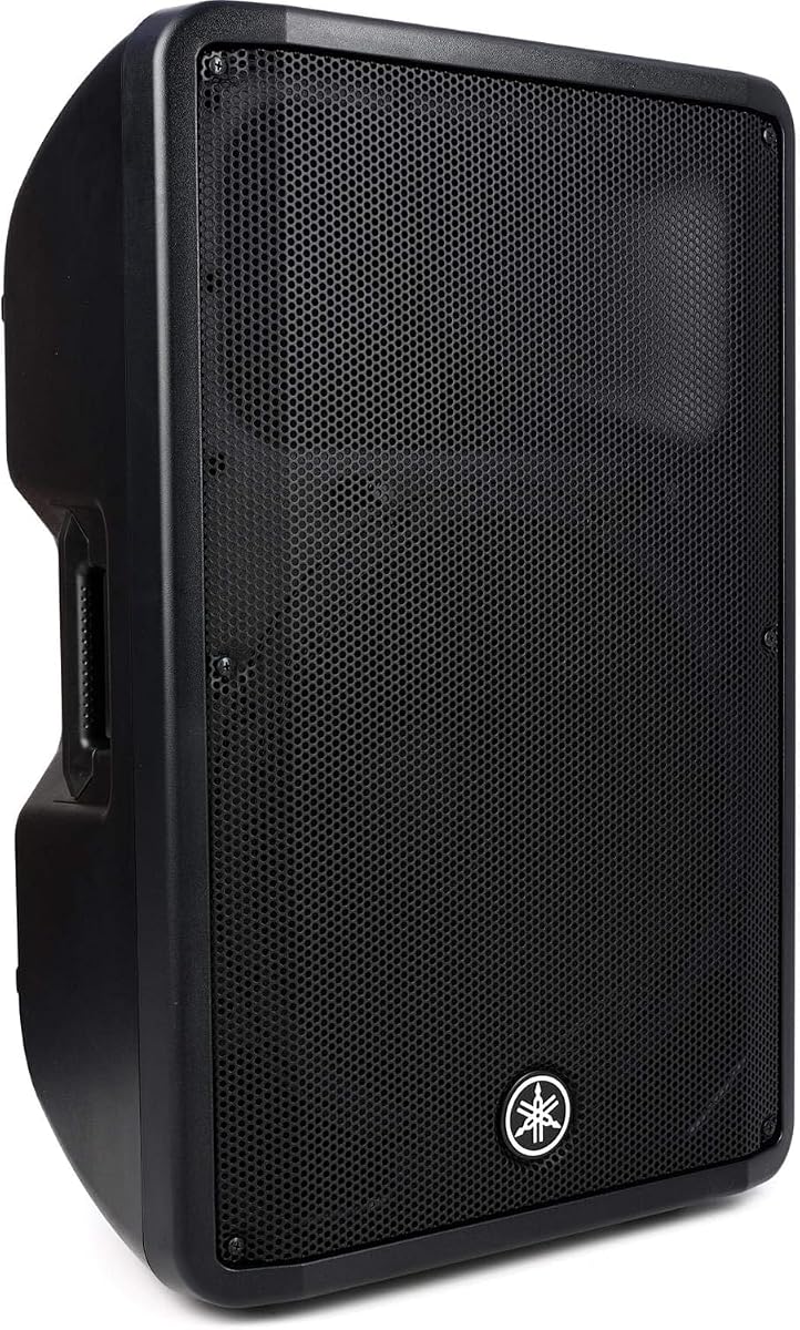 CBR15 15-inch 1000W Passive Speaker,Black