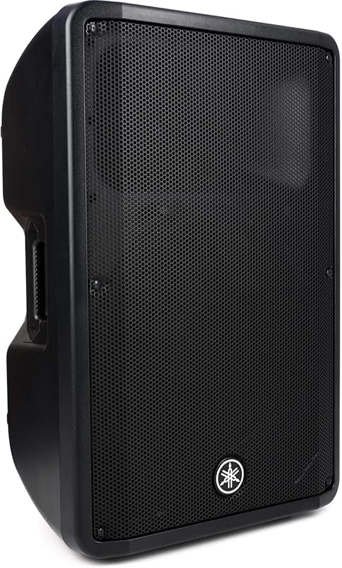 CBR15 15-inch 1000W Passive Speaker,Black