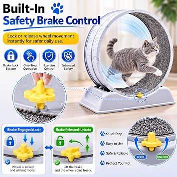 Cat Exercise Wheel with Safety Lock Removable Carpet for Indoor Cats