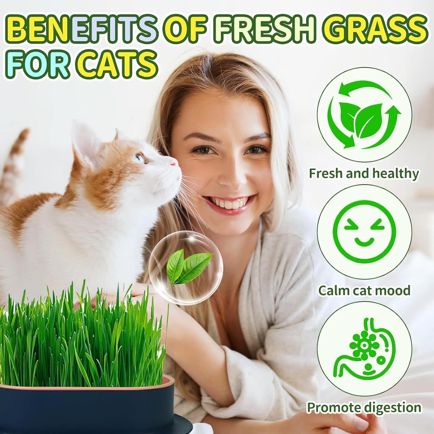 3 Plateaux de Plantation pour Herbe à Chat, germoir sans Terre pour Herbe à Chat, conteneur de Plantation pour Herbe à cha pour Chats d'intérieur