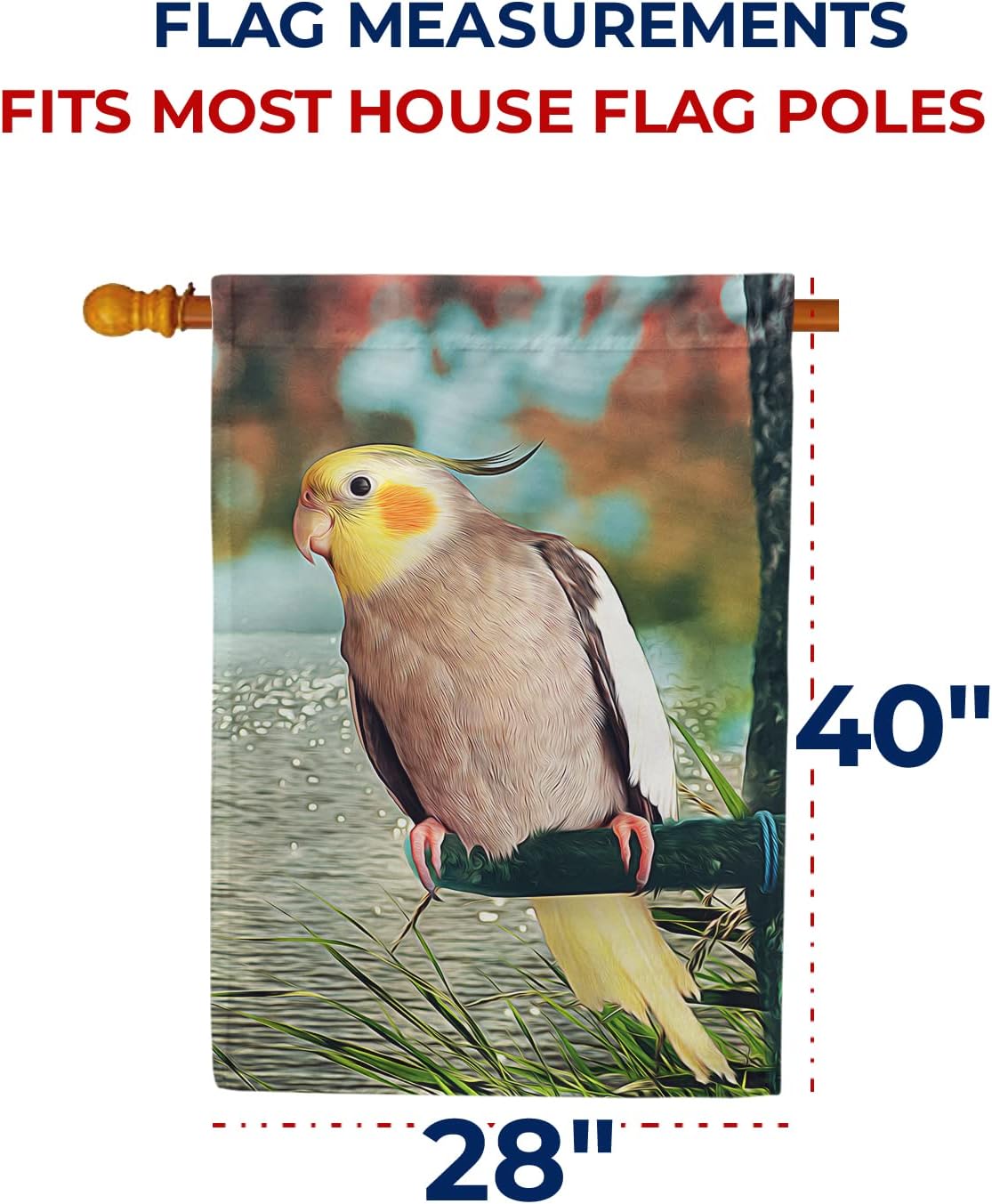 America Forever Spring Bird House Flag 28 x 40 inches Double Sided Hello, Lake, Nature, Positive Vibes - Seasonal Yard Lawn Outdoor Decorative Yellow Cockatiel Flag
