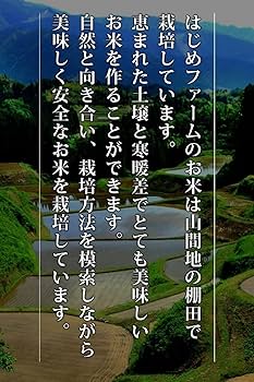 令和6年　熊本県産ブレンド米 Amazon.co.jp: 無農薬 雑穀米 オリジナルブレンド 熊本県産 新米