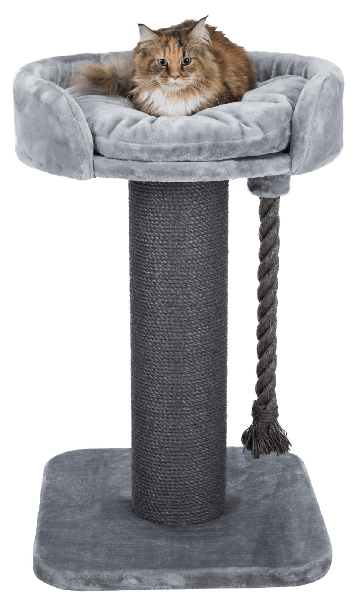 Trixie Grand Arbre à Chat Klara Robuste – Gris – XXL, 100 cm