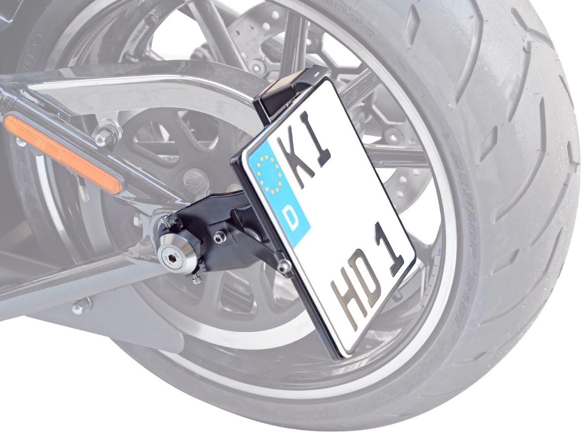 Side Plate Holder 180 x 200 mm for Harley Davidson Softail Special (FLSTFB Flstfbs with TÜV Certified, LED Licence Plate Lights and Installation Materials