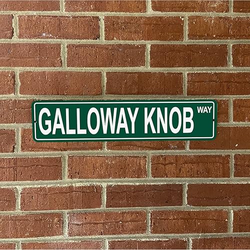 Vista 527 de Ohio Mountains Pick Your Mountain Compatible/repuesto para Ballards Hill United States Mountain Aluminio Metal Tin Street Sign Style decoración