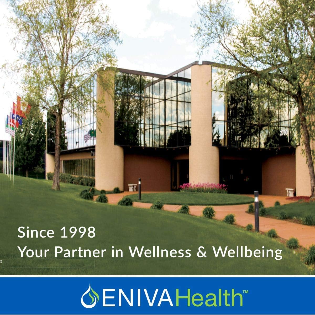 Eniva Health Liquid Ionic Silica | 2 MG | Supplement Supports Healthy Collagen & Elastin Production for Joint & Bone Support Healthy Skin, Hair and Nails Keto Friendly, Gluten Free - 32 Servings
