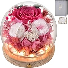 Christmas Present Mother's Day Preserved Flower Rose Present Brizard Flower Buriza-do Flower Gift Wedding Anniversary Present Wife Anniversary Present Her Birthday Present White Day Present Popular