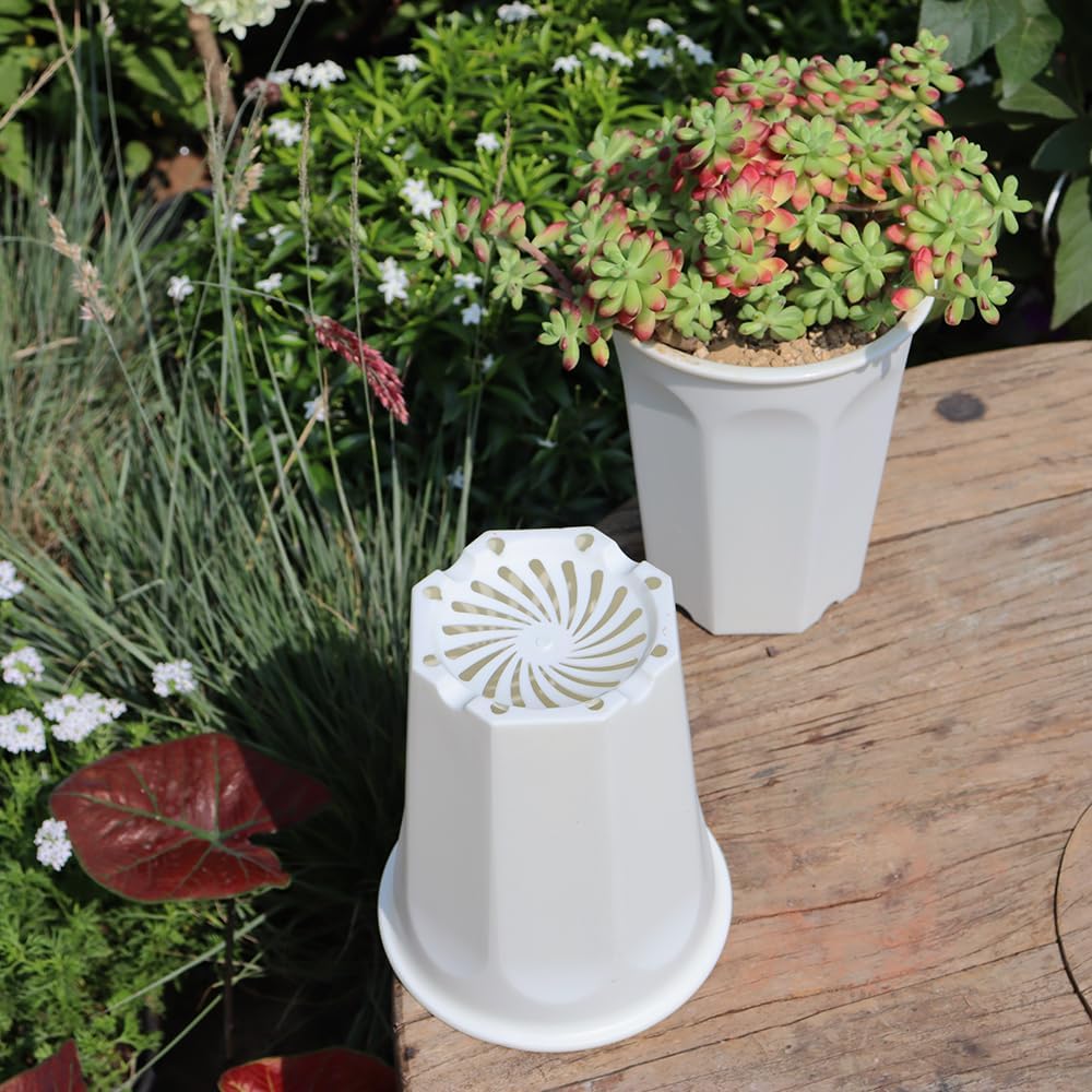 8 Pack 6.10 Inch White Plastic Deep Nursery Pot and Seedling Planter for Succulent, Cutting, Transplanting image 5