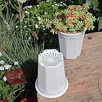 Vista 5 de BangQiao - Juego de 8 macetas de plástico blanco de 6.10 pulgadas para vivero profundo y semillero para suculentas, cortes y trasplantes