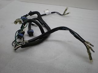 MERCURY Harness-Ignition