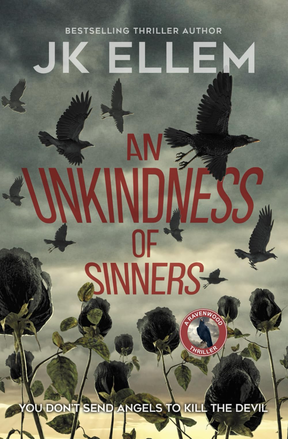 An Unkindness of Sinners: A serial killer mystery and suspense crime thriller: 4 (The Ravenwood Domestic Thriller Series)