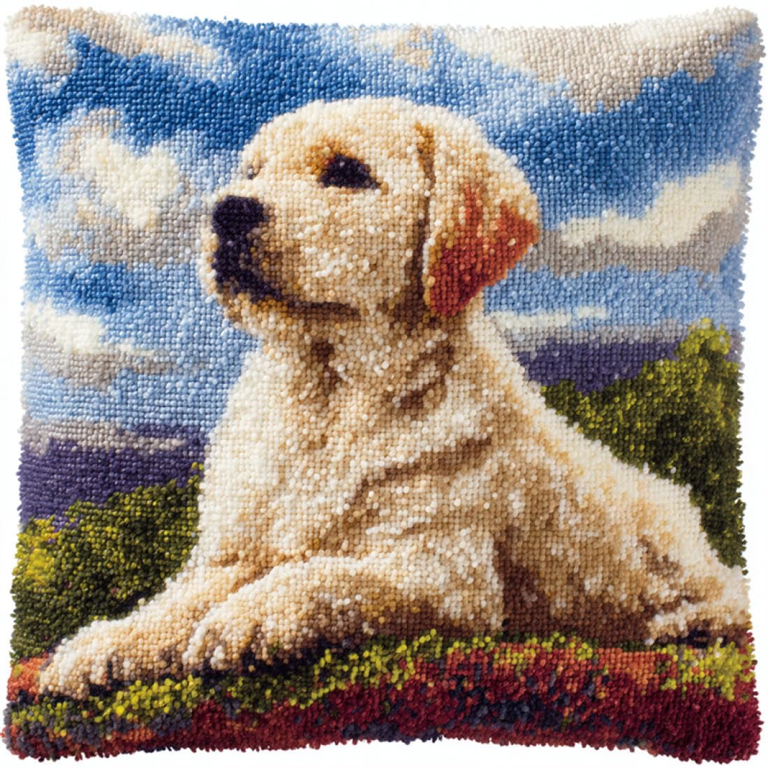 Kitquiver Y Animal Latch Hook Craft Kits Cartoon Dog Di Latch Hook Rug Kit For Beginners Embroider Cushion Canvasfor Adult Beginners 17X17in