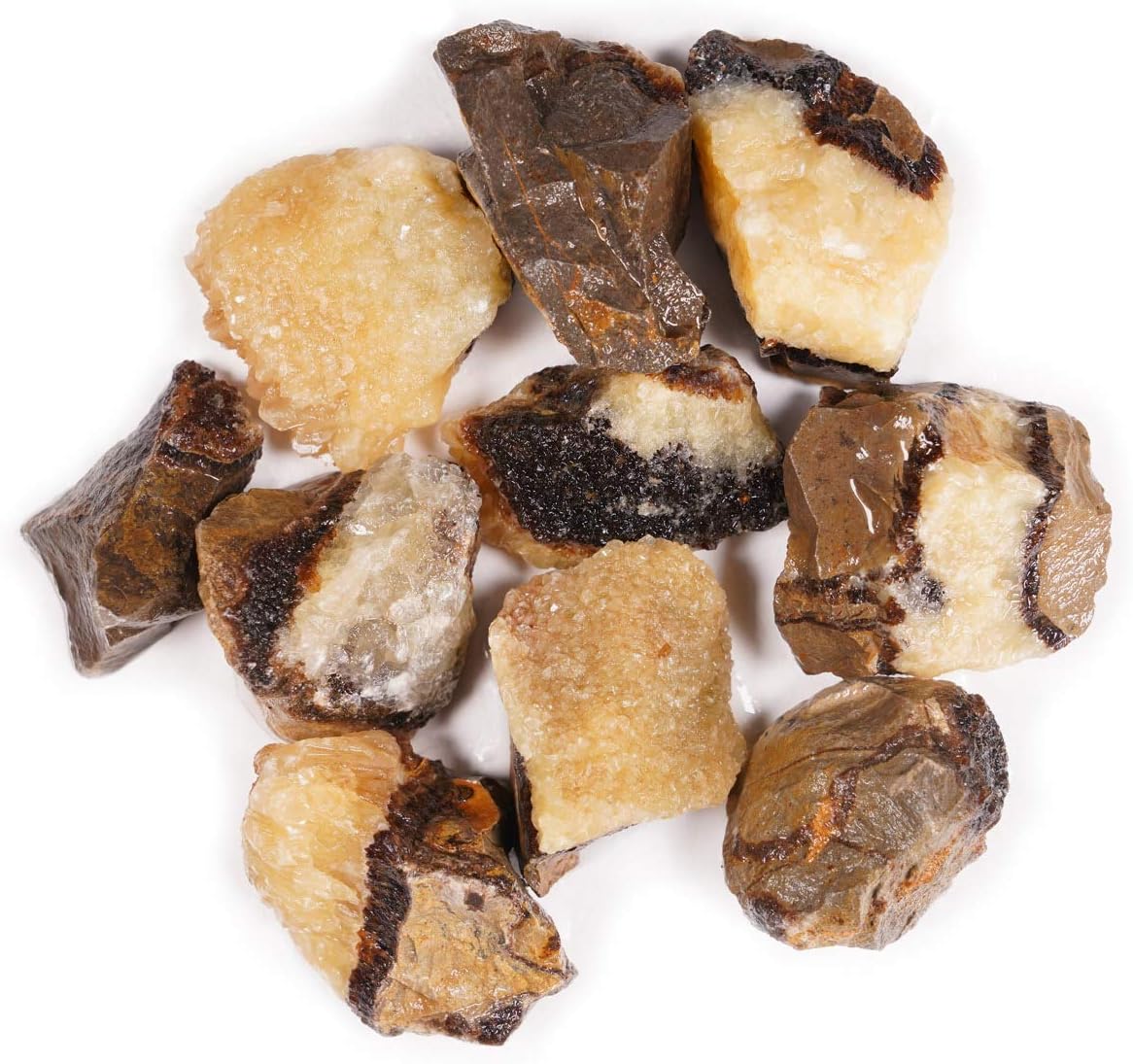 Crystal Allies Materials 1lb Bulk Rough Septarian Stones from Madagascar Large 1" Raw Natural Crystals for Cabbing, Cutting, Lapidary, Tumbling, and Polishing & Reiki Crystal Healing Wholesale Lot