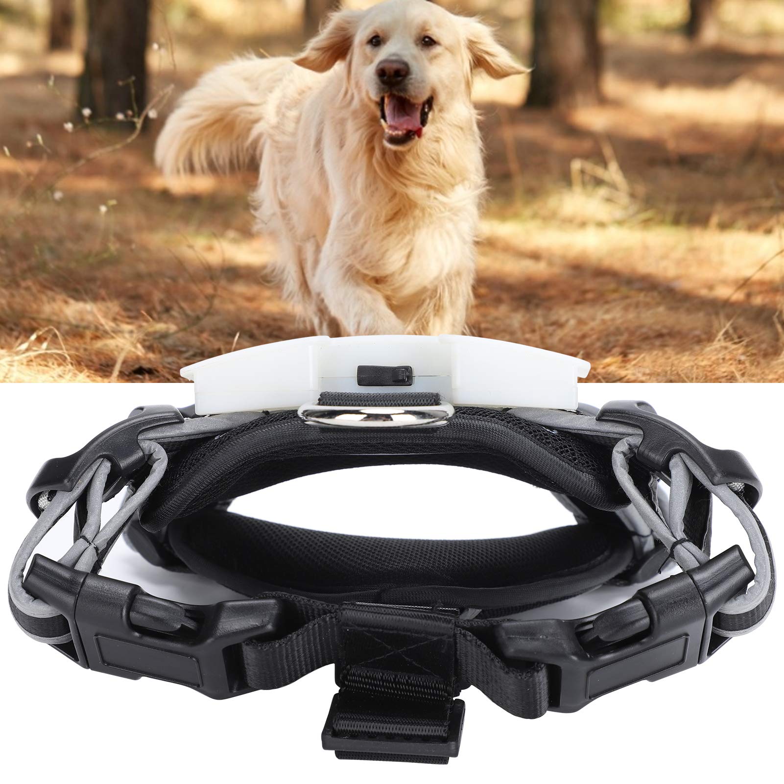 Pettorina per animali domestici a LED, fascia toracica per cani, ricarica USB, con striscia riflettente regolabile per la sicurezza delle passeggiate notturne (l)