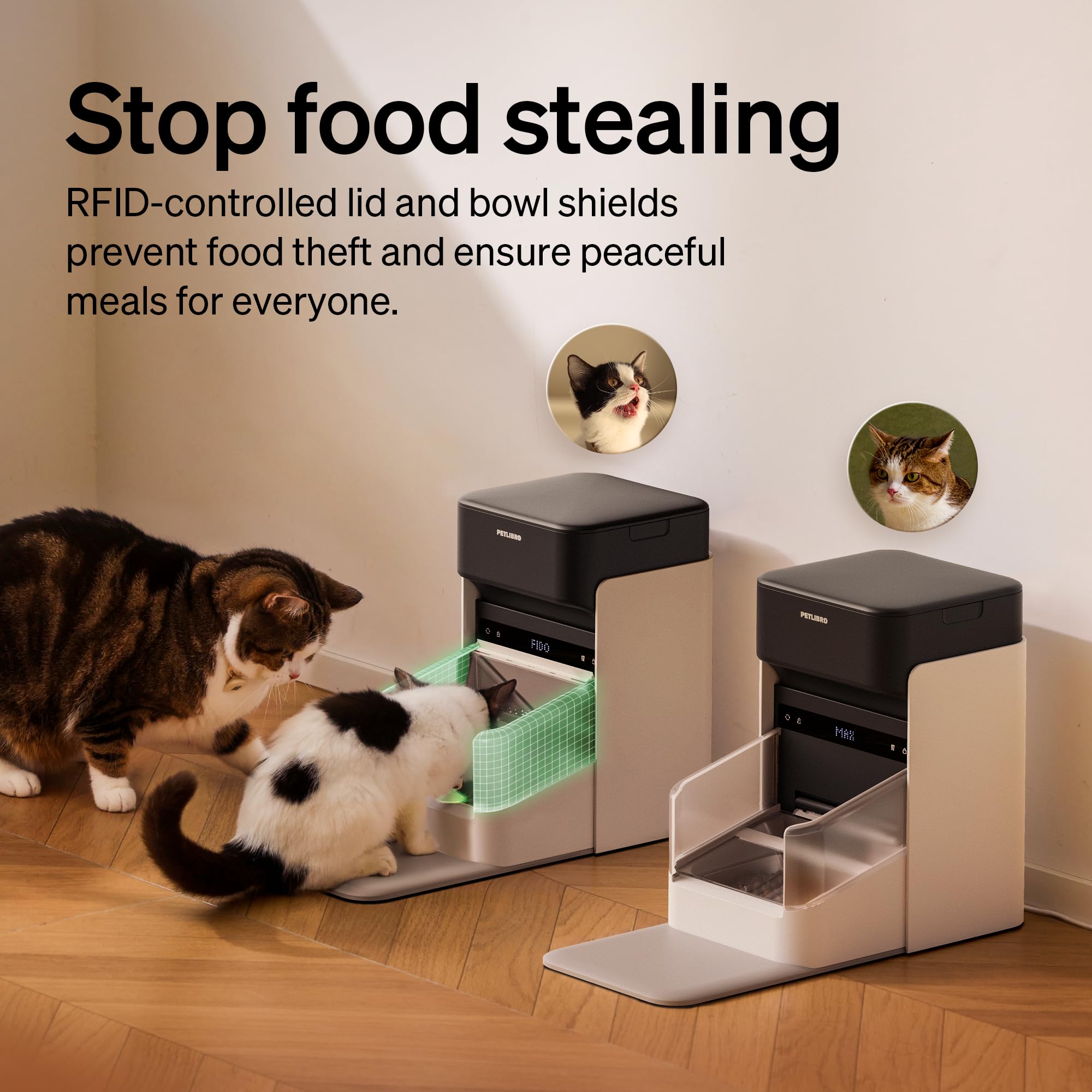 PETLIBRO RFID Automatic Cat Feeder, Collar Sensor-Activated Personalized Meals, Cats Recognition & Diet Tracking for Cats with Special Dietary Needs and Prevents Food Stealing - image 6