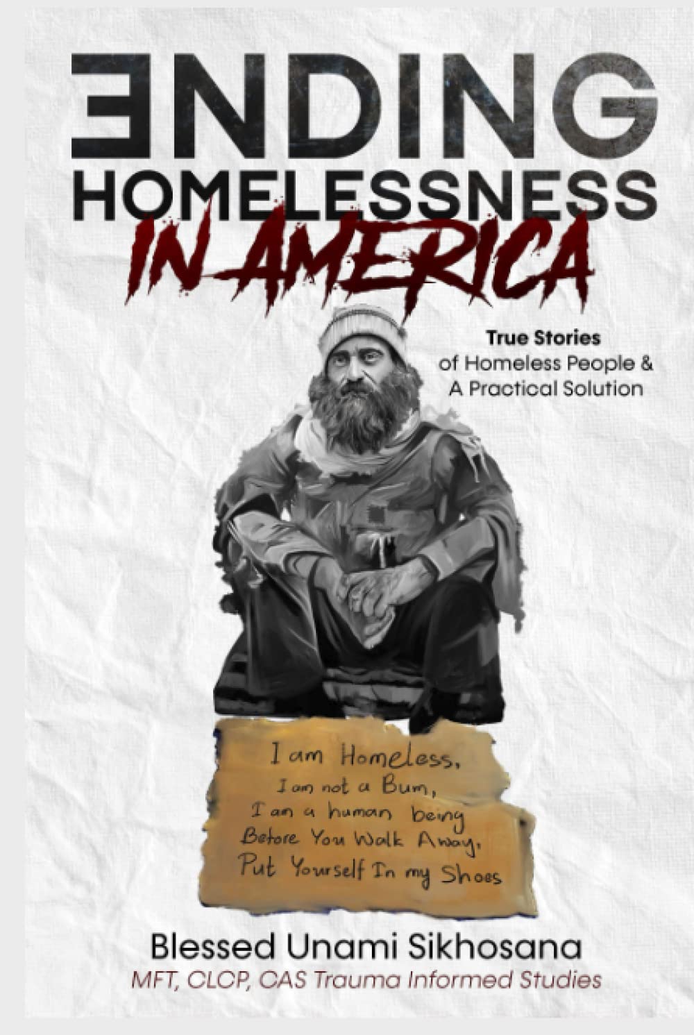 Ending Homelessness in America: True Stories & A Practical Solution