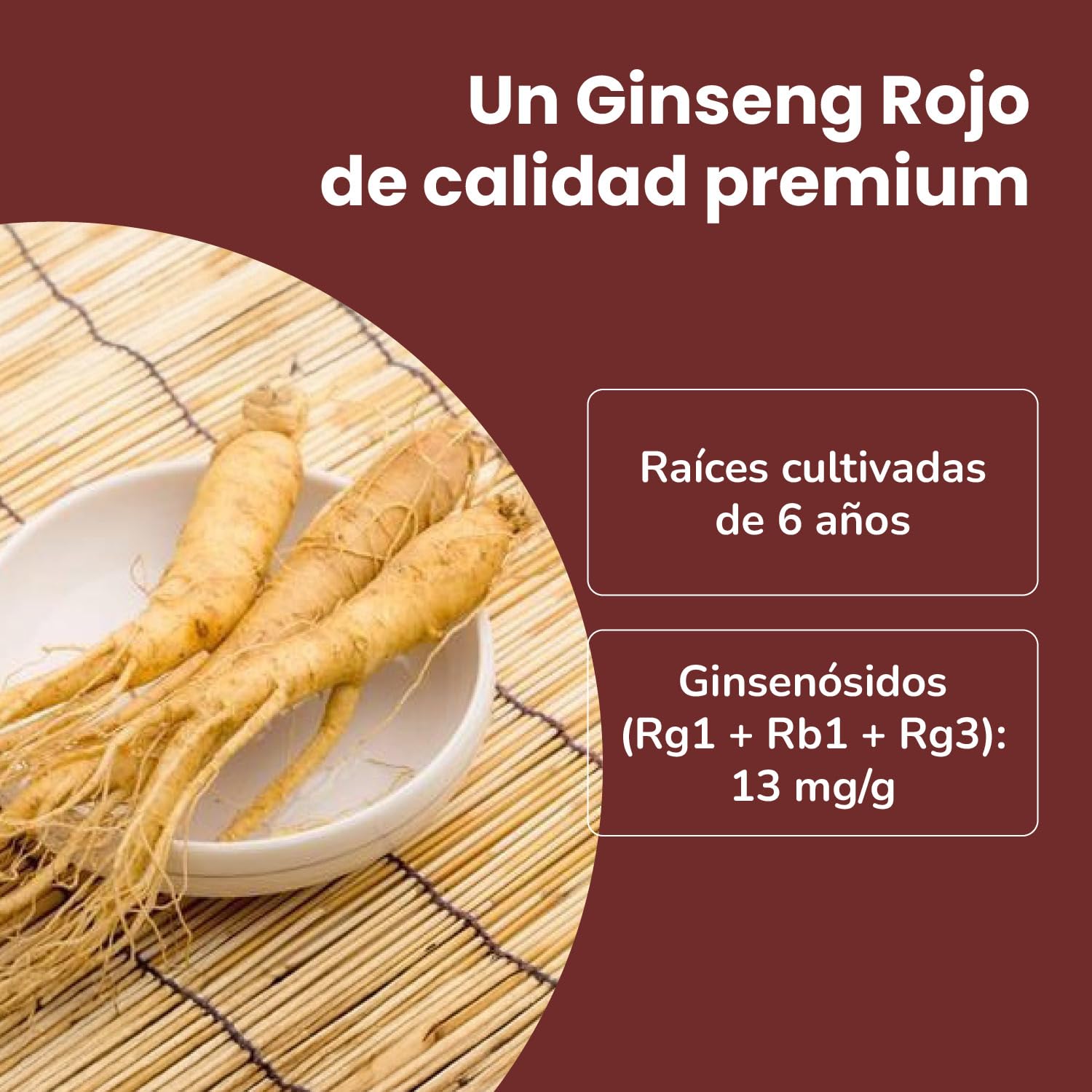 SAMSIDAE - Extracto Gold de Ginseng Rojo Coreano, Máxima Concentración en Ginsenósidos 13 mg/g, Raíces de 6 Años, 8 Meses, 240g