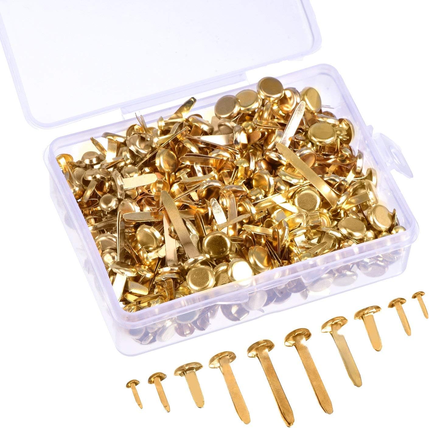 Anjing 500 Pieces Paper Fasteners Assorted Sizes Round Brad Brass Plated Fasteners Metal Brads with Storage Box