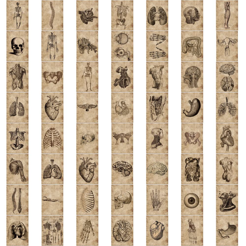 Juego de 50 pegatinas de esqueleto, diseño de esqueleto, para coche, ordenador portátil, monopatín, bicicleta, moto, bicicleta, ordenador, adultos, niños