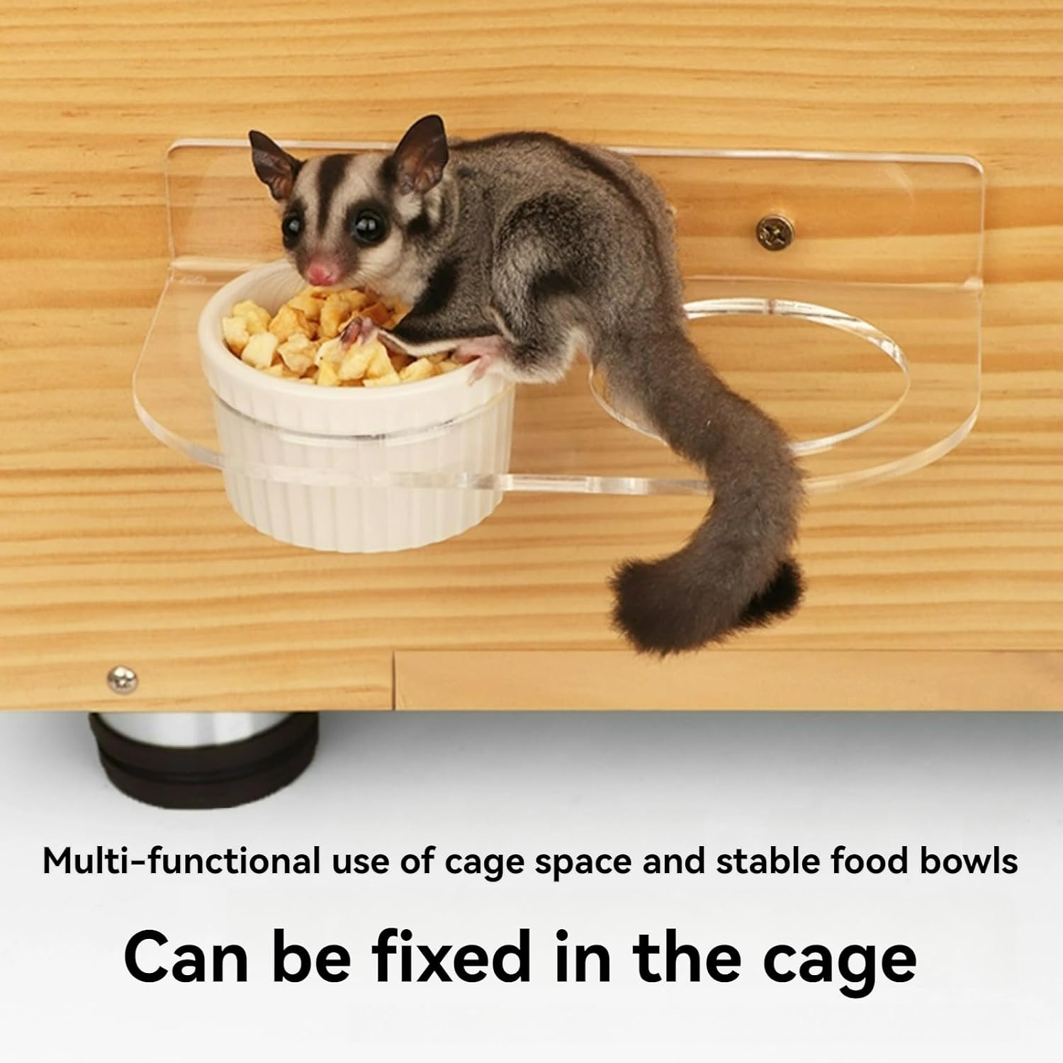 Sugar Glider Feeder Hanging Ceramic Bowl with Acrylic Stand Space-Saving Design for Small Pet (Two Bowls Large)