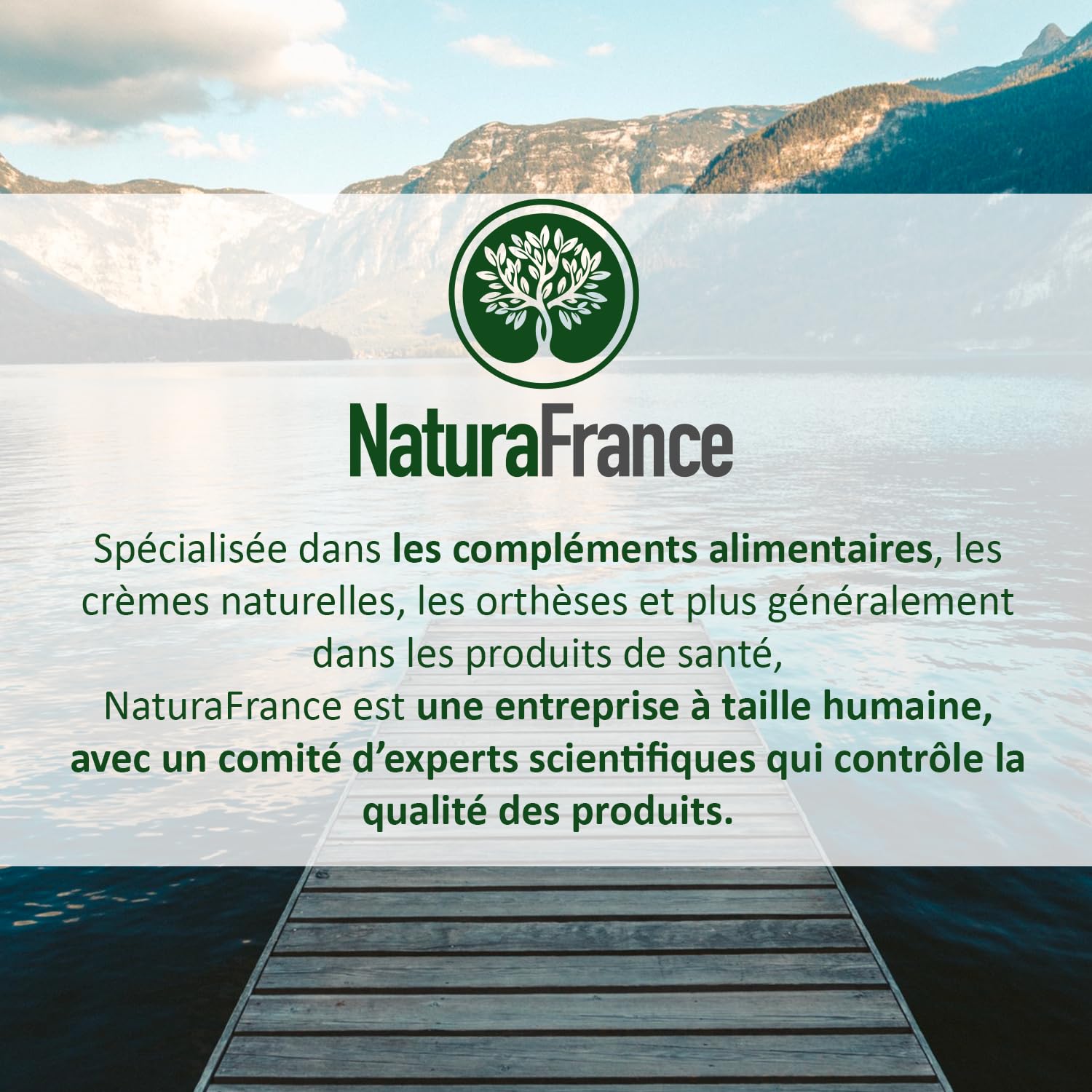 Articulations Douloureuses - Anti-inflammatoire naturel - Curcumine (curcuma) - Magnésium - - Fabriqué en France - 1 mois - NATURAFRANCE
