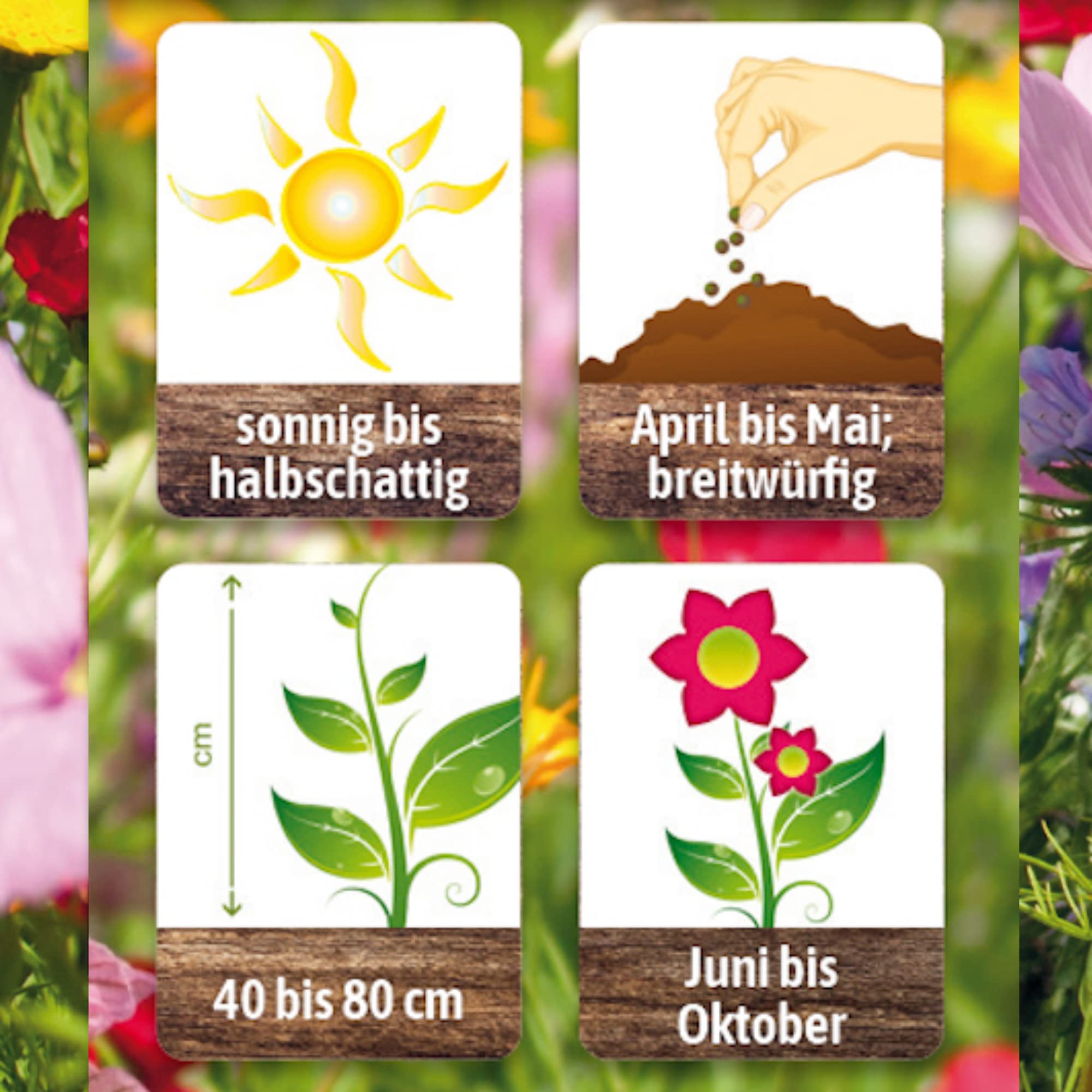 N.L. Chrestensen Blumensamen Mischung, Saatgut bienenfreundlich, Sommerblumen, Bienenweide, Bienen Blumen Samen, Blumenwiese für Bienen, reicht für 100 bis 200 m2 (1L Eimer)